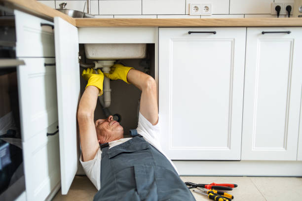 Best 24-Hour Plumber Near Me  in Cass City, MI