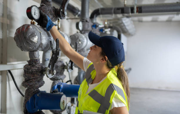 Best Local Plumber Services  in Cass City, MI