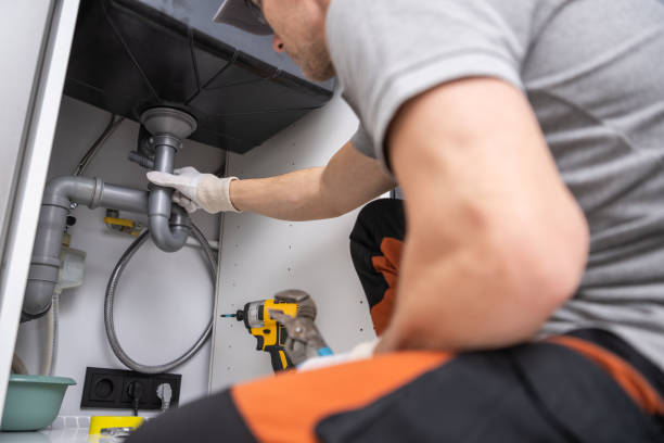 Best Plumbing Services Near Me  in Cass City, MI
