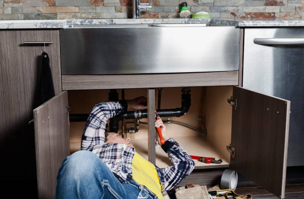 Best 24-Hour Plumber Near Me  in Cass City, MI