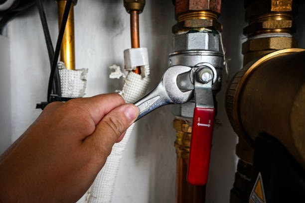 Best Sewer Line Repair  in Cass City, MI